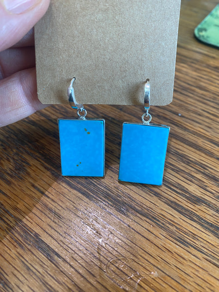 RW342A Arizona Blue Turquoise Earrings